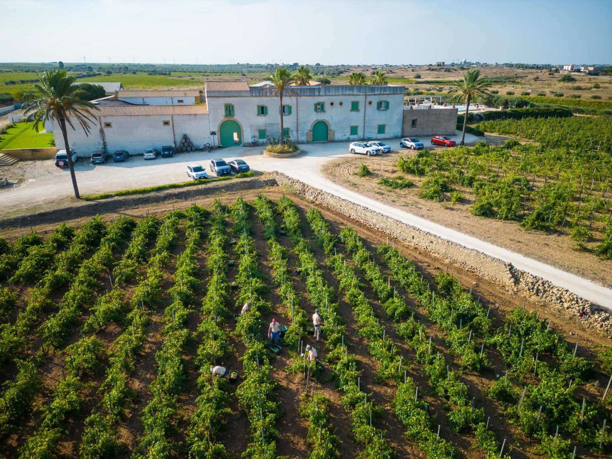 Agriturismo Baglio Donnafranca Wine Resort Марсала Екстериор снимка