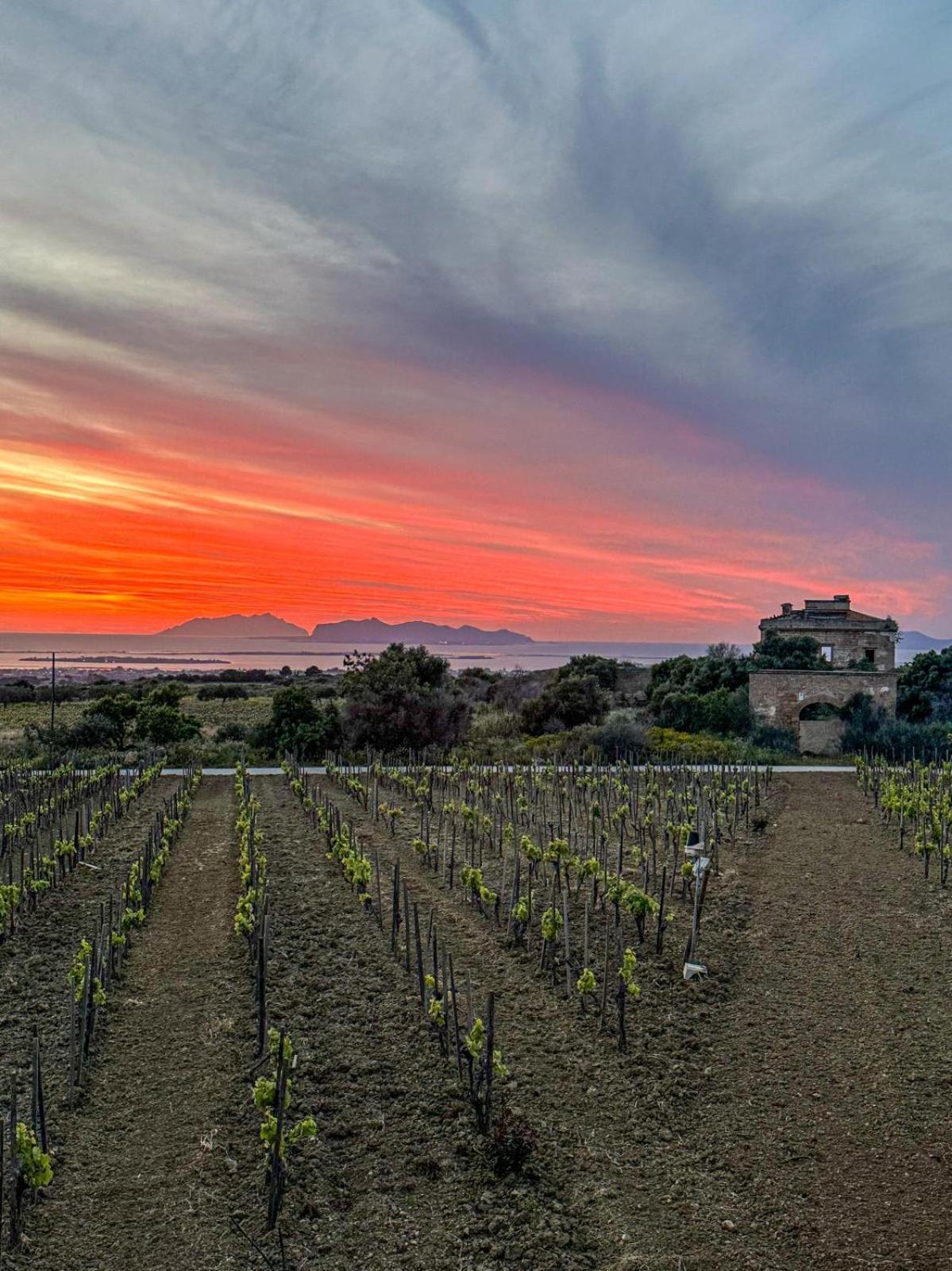 Agriturismo Baglio Donnafranca Wine Resort Марсала Екстериор снимка