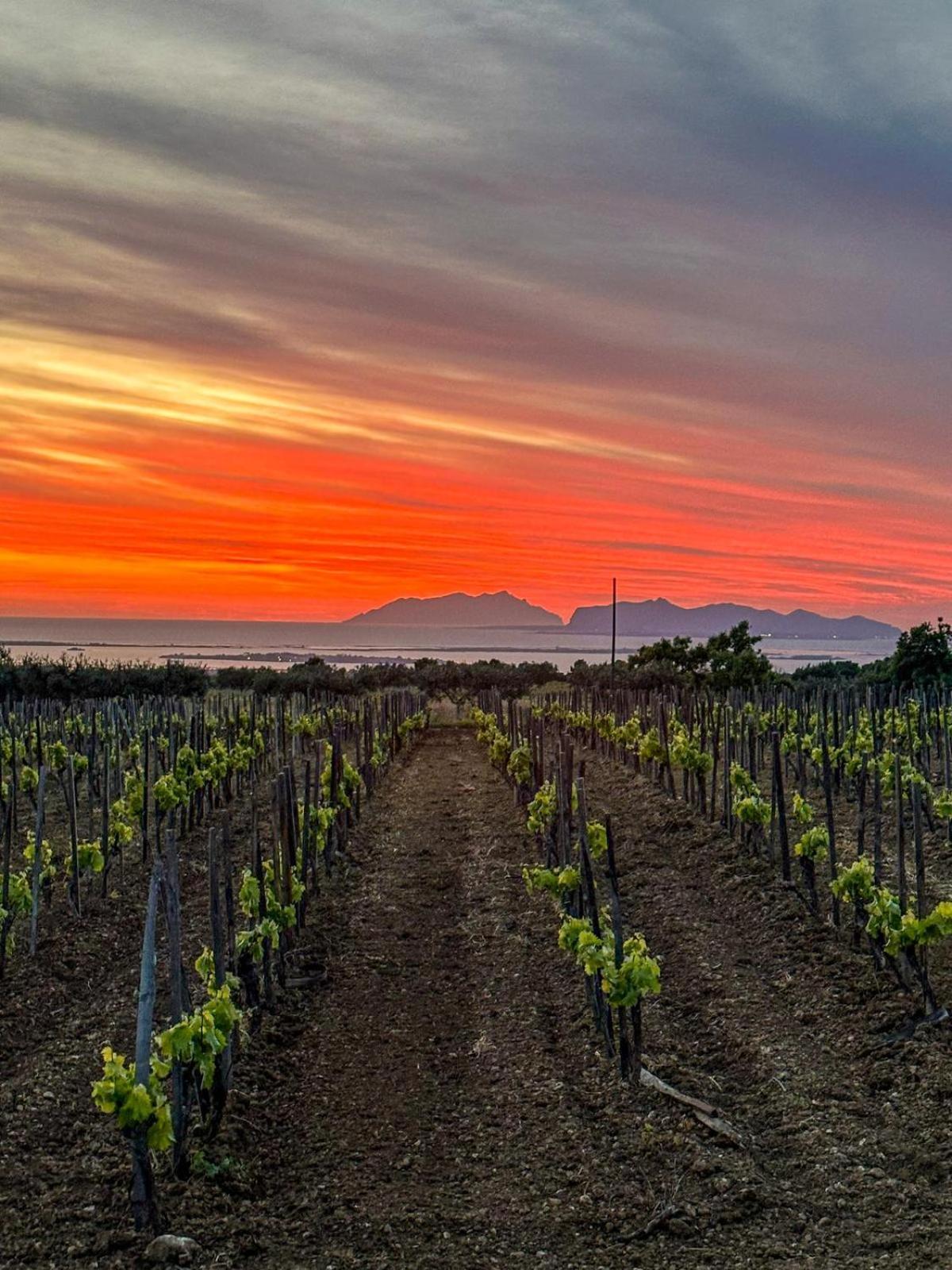 Agriturismo Baglio Donnafranca Wine Resort Марсала Екстериор снимка