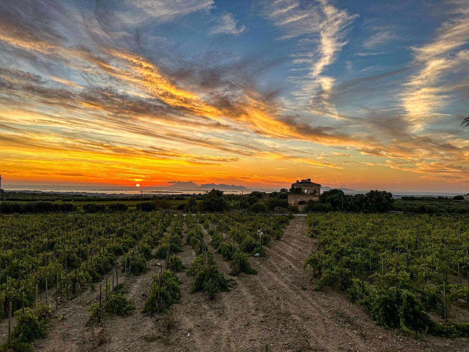 Agriturismo Baglio Donnafranca Wine Resort Марсала Екстериор снимка